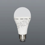 Load image into Gallery viewer, EMERGENCY A60 E27 LED LAMP