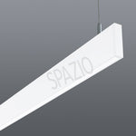 Load image into Gallery viewer, 3976.31