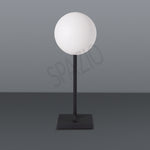 Load image into Gallery viewer, POP