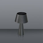 Load image into Gallery viewer, FUJI