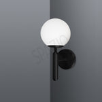 Load image into Gallery viewer, CASSIA