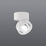 Load image into Gallery viewer, HARRODS