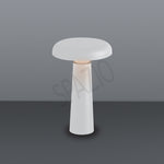 Load image into Gallery viewer, BOLETUS