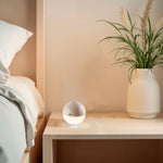 Load image into Gallery viewer, ALBEDO