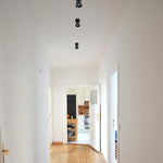 Load image into Gallery viewer, KIDDUSH