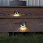 Load image into Gallery viewer, PATHWAY 1