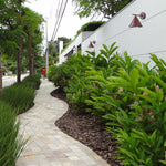 Load image into Gallery viewer, RAILROAD 2