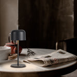 Load image into Gallery viewer, SUSHI