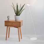 Load image into Gallery viewer, TORUS FLOOR