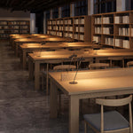 Load image into Gallery viewer, TORUS