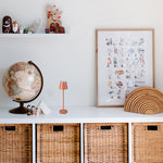 Load image into Gallery viewer, TREVI MICRO