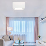 Load image into Gallery viewer, PISA