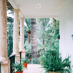 Load image into Gallery viewer, LIVIA 160 - 3CCT