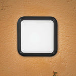 Load image into Gallery viewer, ANNA