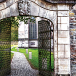 Load image into Gallery viewer, FOLD SOLAR