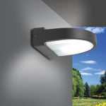 Load image into Gallery viewer, ALTO