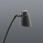 Load image into Gallery viewer, CORVO