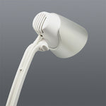 Load image into Gallery viewer, CORVO