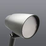 Load image into Gallery viewer, CORVO