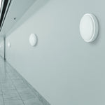 Load image into Gallery viewer, FLO