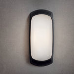 Load image into Gallery viewer, FRANCY PLAIN