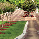 Load image into Gallery viewer, NEO