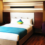 Load image into Gallery viewer, AVICO WALL