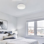 Load image into Gallery viewer, COMET