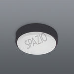 Load image into Gallery viewer, FLO