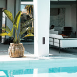 Load image into Gallery viewer, OZO RECT DOWNFACE - 3CCT