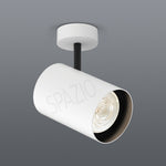 Load image into Gallery viewer, LONE PAR30 SPOT