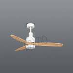 Load image into Gallery viewer, FAN-ATIC CEILING FAN
