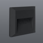 Load image into Gallery viewer, OZO SQUARE DOWNFACE - 3CCT
