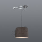 Load image into Gallery viewer, SWING PENDANT
