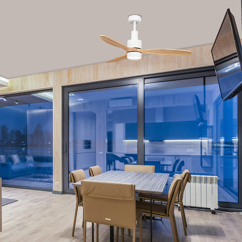 FAN-ATIC CEILING FAN