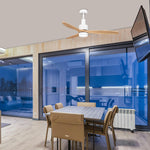 Load image into Gallery viewer, FAN-ATIC CEILING FAN
