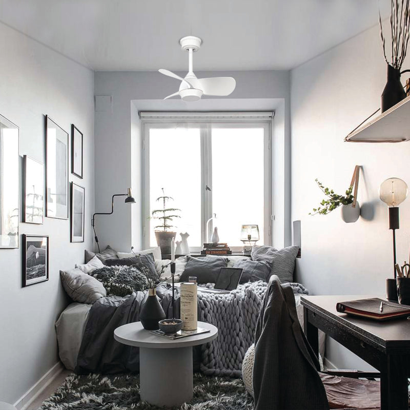 FAN-TASY CEILING FAN