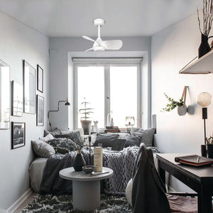 FAN-TASY CEILING FAN