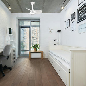 FAN-TASY CEILING FAN