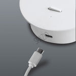 Load image into Gallery viewer, HILTON CHARGE UP <br> IRON PLATE
