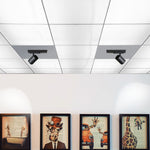Load image into Gallery viewer, VISO

