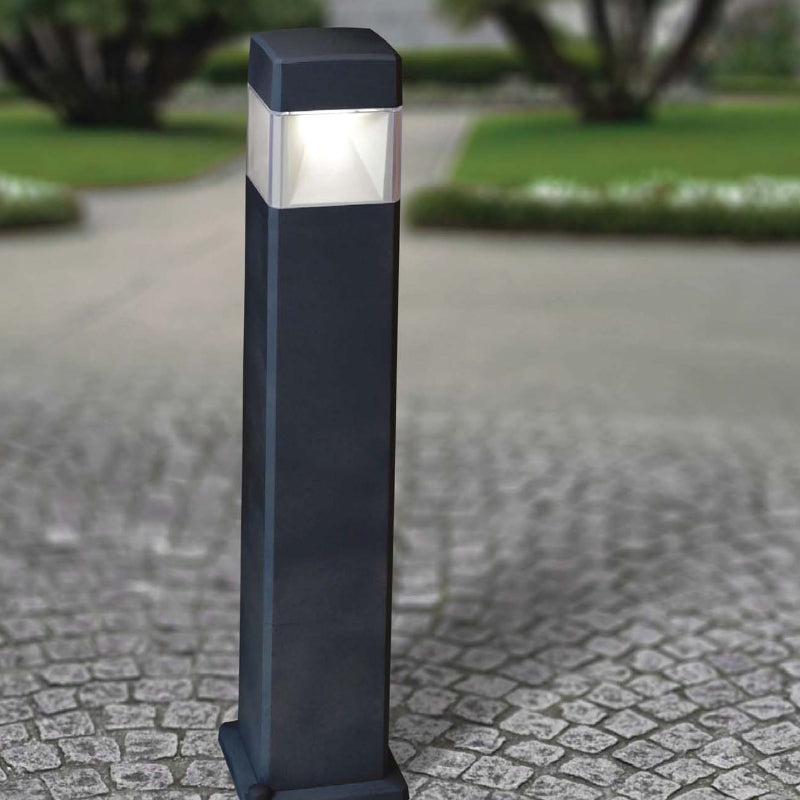 ELISA BOLLARD CTC <br> 10W